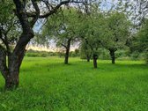Parduodama Erdvi Sodyba Anykščių R., Aulelių K. - nuotraukos Nr. 9