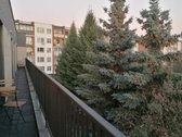 Žaliakalnyje, Kauno menų inkubatoriuje, - nuotraukos Nr. 11