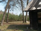 Sklypas tiems, kurie svajoja apie namelį miške - nuotraukos Nr. 5