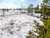 Parduodamas sklypas Didžiuosiuose Gulbinuose - nuotraukos Nr. 10