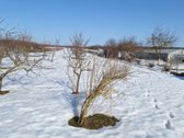 Parduodamas sklypas Liepinėje, 5502'31.8"n - nuotraukos Nr. 12
