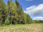Sklypas Sodybai Trakų Rajone, Vytautavos Kaime - nuotraukos Nr. 3