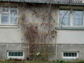 Parduodamas 6a sklypas su sodo nameliu sodų - nuotraukos Nr. 3