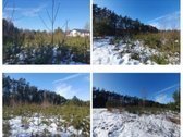 Parduodamas sklypas ramioje ir privatumo - nuotraukos Nr. 3
