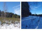 Parduodamas sklypas ramioje ir privatumo - nuotraukos Nr. 4