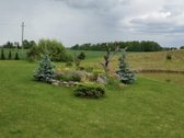 Parduodamas 96 arų išpuoselėtas žemės sklypas - nuotraukos Nr. 6