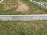 Parduodamas 96 arų išpuoselėtas žemės sklypas - nuotraukos Nr. 7