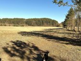 Naujame gyvenamųjų namų kvartale, pušyne - nuotraukos Nr. 5