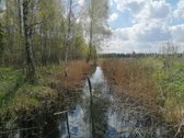 Erdvi Namų Valda Su Infrastruktūra - nuotraukos Nr. 3
