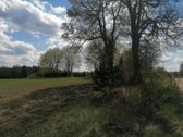 Erdvi Namų Valda Su Infrastruktūra - nuotraukos Nr. 5