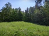Unikalioje, ramioje vietoje parduodamas namų - nuotraukos Nr. 6
