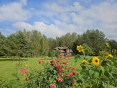 Išnuomojamas puikiai įrengtas penkių kambarių - nuotraukos Nr. 2