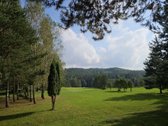 Išnuomojamas puikiai įrengtas penkių kambarių - nuotraukos Nr. 6