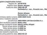 Nuomojama 80 m. Nemuno pakrantė su galimybe - nuotraukos Nr. 4