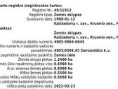 Nuomojama 80 m. Nemuno pakrantė su galimybe - nuotraukos Nr. 5