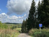 Ramioje Musės upės kilpoje, nedideliame - nuotraukos Nr. 5