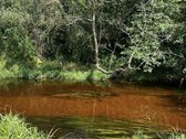 Ramioje Musės upės kilpoje, nedideliame - nuotraukos Nr. 2