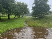 Ramioje Musės upės kilpoje, nedideliame - nuotraukos Nr. 9