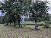 Ramioje Musės upės kilpoje, nedideliame - nuotraukos Nr. 10
