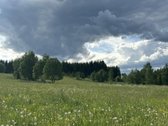 Ramioje Musės upės kilpoje, nedideliame - nuotraukos Nr. 7