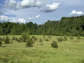 Ramioje Musės upės kilpoje, nedideliame - nuotraukos Nr. 6