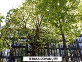 Išskirtiniai apartamentai Vytauto g. 150.