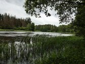 Parduodamas sklypas vaizdingoje vietovėje - nuotraukos Nr. 4