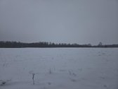 Parduodami 3 sklypai Vėžionyse prie marių - nuotraukos Nr. 3