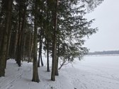 Parduodami 3 sklypai Vėžionyse prie marių - nuotraukos Nr. 8