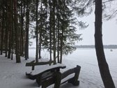 Parduodami 3 sklypai Vėžionyse prie marių - nuotraukos Nr. 10