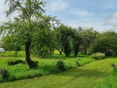 Parduodama Erdvi Sodyba Anykščių R., Aulelių K. - nuotraukos Nr. 10