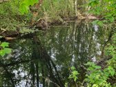 Parduodama Erdvi Sodyba Anykščių R., Aulelių K. - nuotraukos Nr. 6