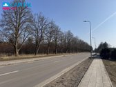 Paruodamas Didelis Žemės Sklypas Su Perspektyva, - nuotraukos Nr. 15