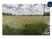 Puikiame gamtos prieglobstyje, netoli centro - nuotraukos Nr. 3