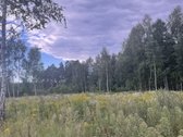 Kraštinis sklypas prie miško, arti Spėros ežero - nuotraukos Nr. 3