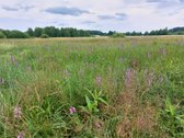 Parduodamas žemės ūkio paskirties sklypas - nuotraukos Nr. 6