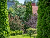 Vienoje mėgstamiausių ir labiausiai vertinamų - nuotraukos Nr. 17