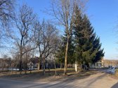 Parduodame šviesų 3 kambarių butą prie - nuotraukos Nr. 6