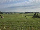 Parduodamas 4 ha. žemės ūkio paskirties - nuotraukos Nr. 3