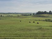 Parduodamas 4 ha. žemės ūkio paskirties - nuotraukos Nr. 2