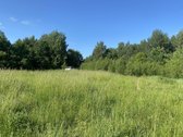 Parduodamas jaukus sklypas su nedideliu senu - nuotraukos Nr. 3