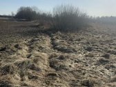 Ukmergės r. sav., Sližių k. - nuotraukos Nr. 2