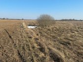 Ukmergės r. sav., Sližių k. - nuotraukos Nr. 9