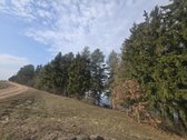 Parduodami 3 sklypai Vėžionyse prie marių - nuotraukos Nr. 15