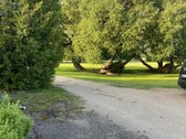 Parduodama sodyba 1,5 km nuo Šilalės. - nuotraukos Nr. 15