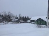 Parduodamas 0,0605 ha sodo sklypas Jazminų g. - nuotraukos Nr. 5