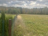 Sklypas Meronių kaime, yra padaryta pilna - nuotraukos Nr. 8