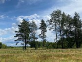 Parduodama sodyba su statybos leidimu, - nuotraukos Nr. 3