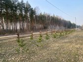 Parduodama sodyba su statybos leidimu, - nuotraukos Nr. 9