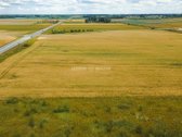 Parduodami Trys Komercinės Paskirties Sklypai - nuotraukos Nr. 9